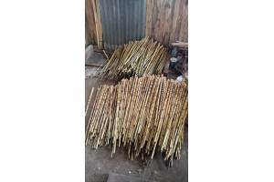 Sandalwood Bamboo from Indonesia